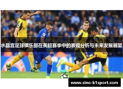 水晶宫足球俱乐部在英超赛季中的表现分析与未来发展展望