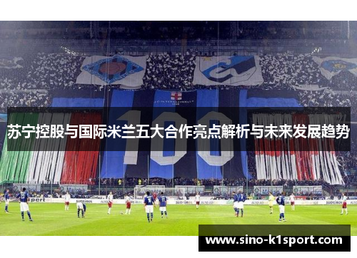 苏宁控股与国际米兰五大合作亮点解析与未来发展趋势