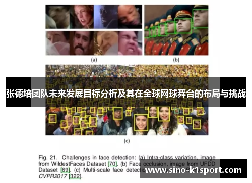 张德培团队未来发展目标分析及其在全球网球舞台的布局与挑战