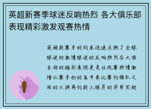英超新赛季球迷反响热烈 各大俱乐部表现精彩激发观赛热情