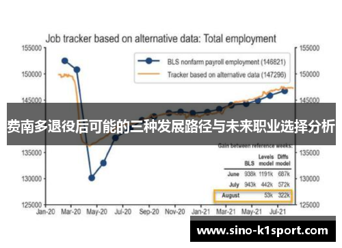 费南多退役后可能的三种发展路径与未来职业选择分析