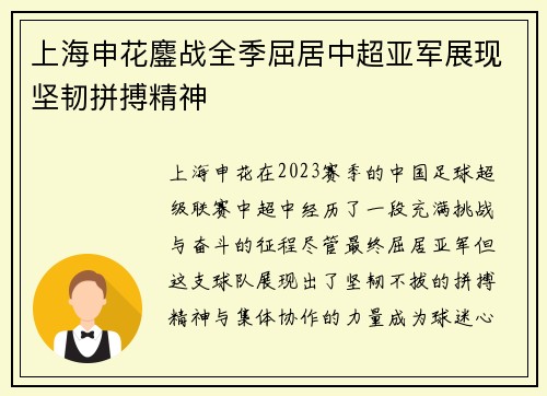 上海申花鏖战全季屈居中超亚军展现坚韧拼搏精神